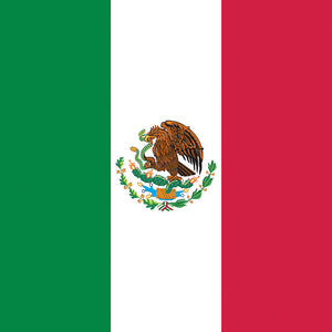 Mexican Flag Bandana