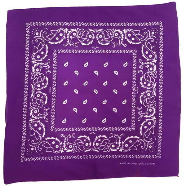 Purple Paisley Bandana