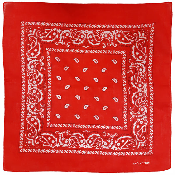 Red Paisley Bandana