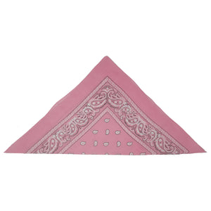 Pink Paisley Bandana