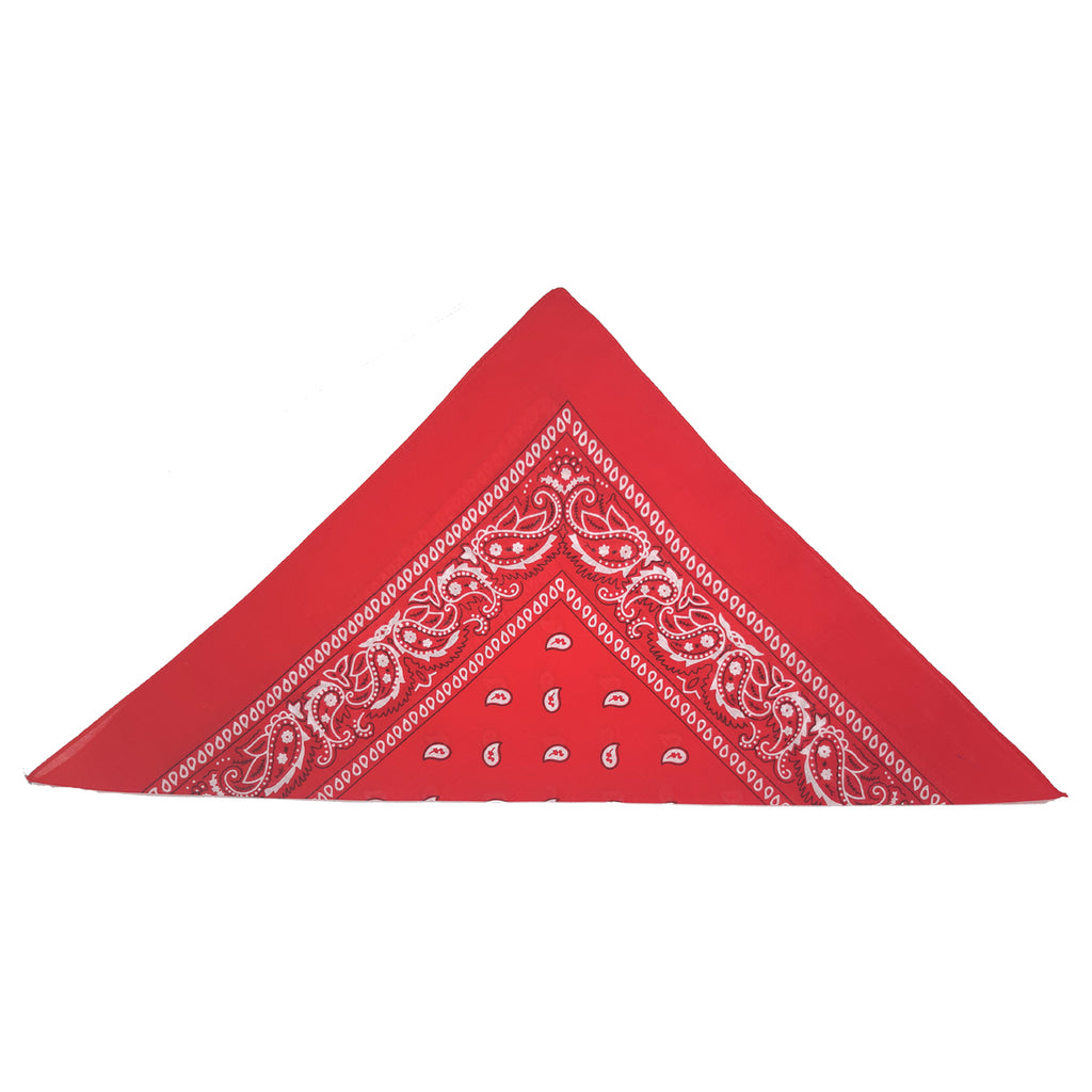 Red Paisley Bandana