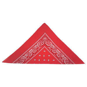 Red Paisley Bandana