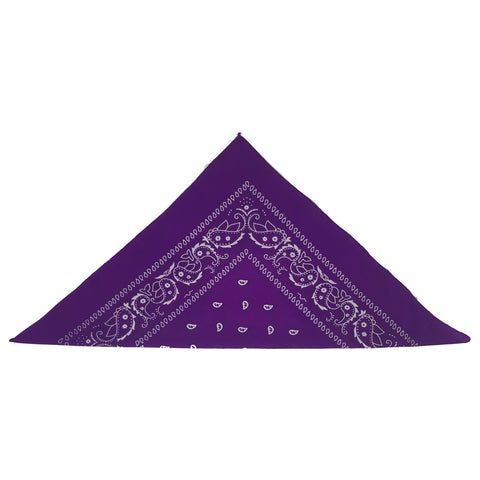 Purple Paisley Bandana